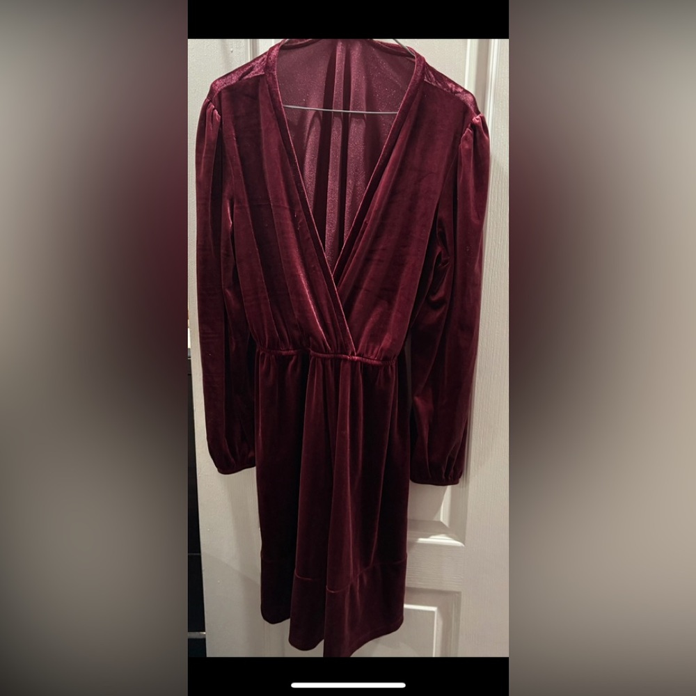 Maison Jules Burgundy Velvet Dress
